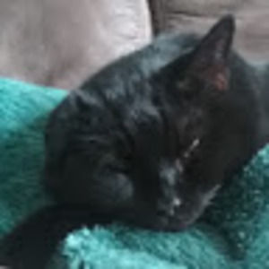 Meet your Posher, Jen